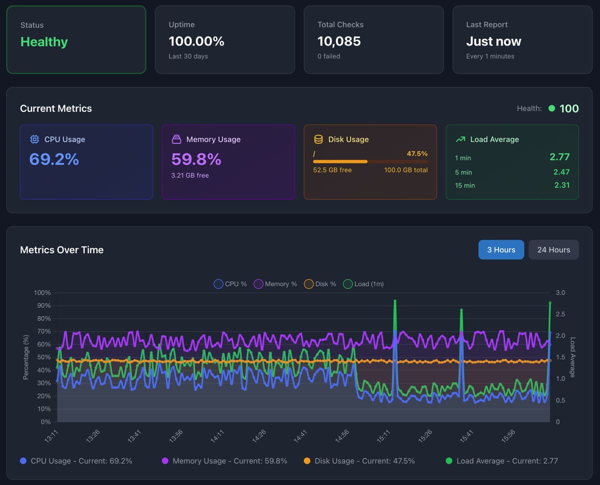 Pingura server metrics dashboard